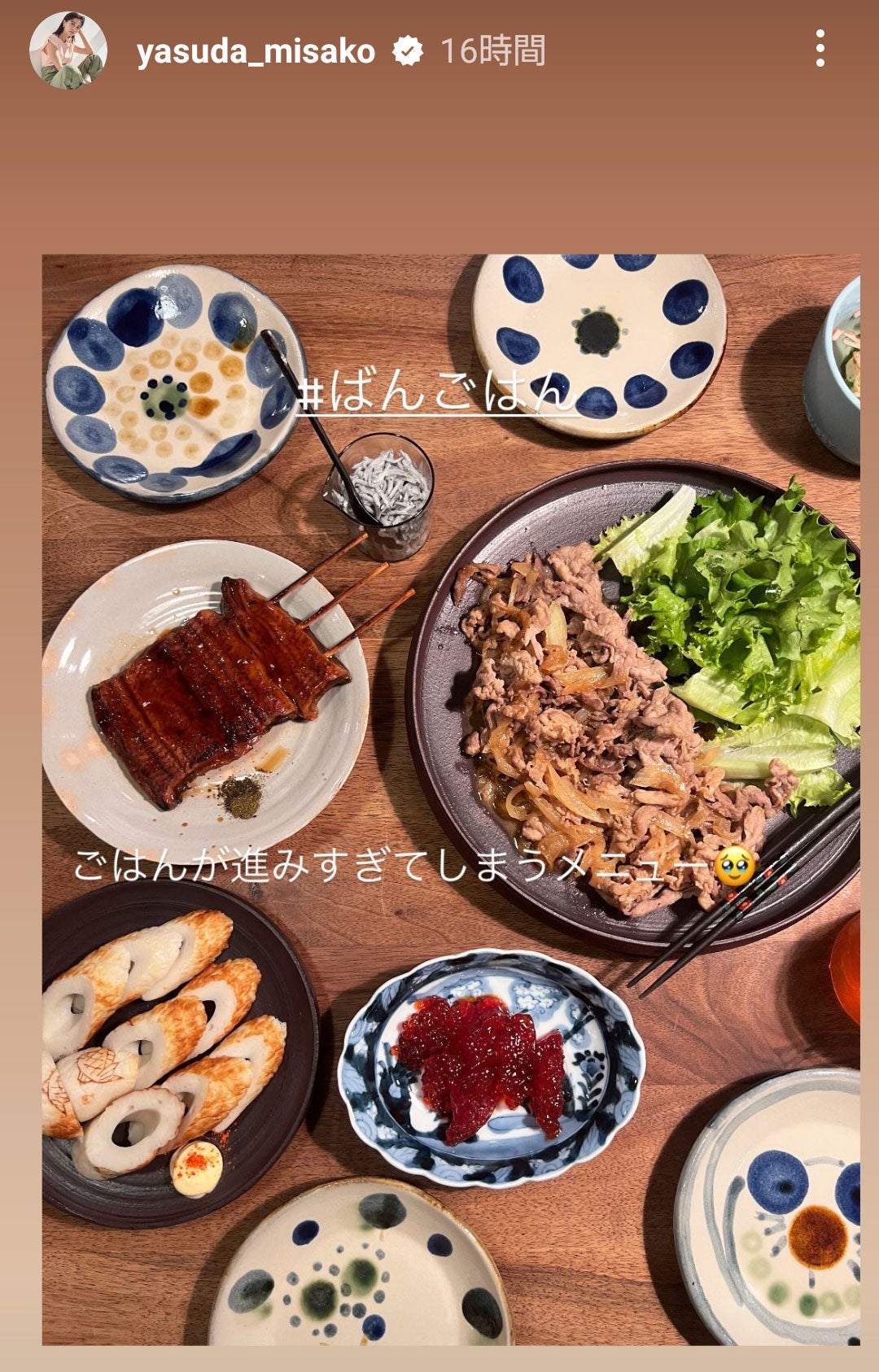 安田美沙子Instagramストーリーズより