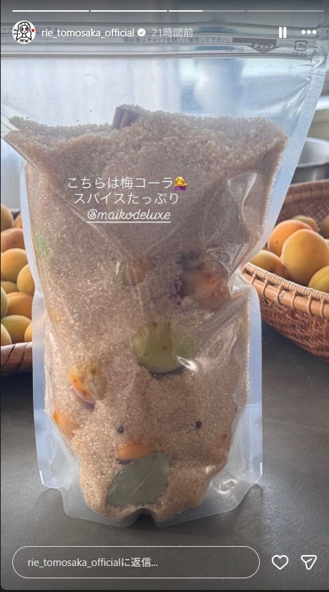 ともさかりえInstagramストーリーズより