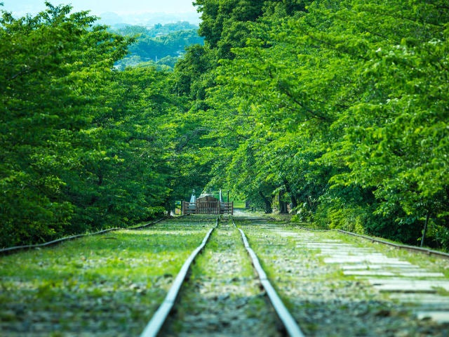 column_b84a146253099984a2b546edec3fe1aa.