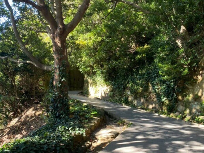 木漏れ日の中を進んでいくと……