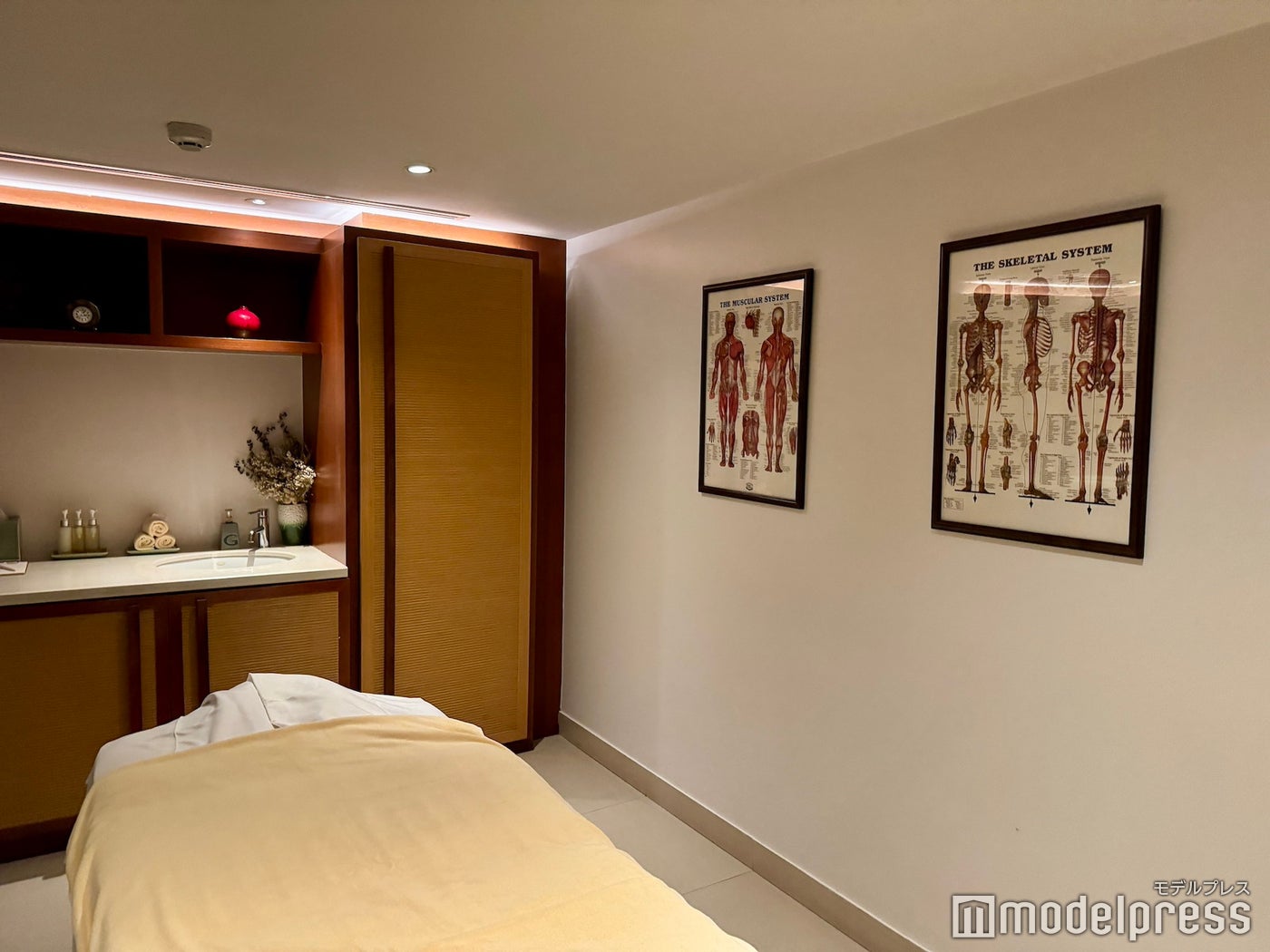 チバソム（C）モデルプレス