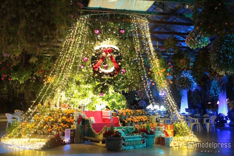 神戸どうぶつ王国フラワーイルミネーション／画像提供：神戸どうぶつ王国