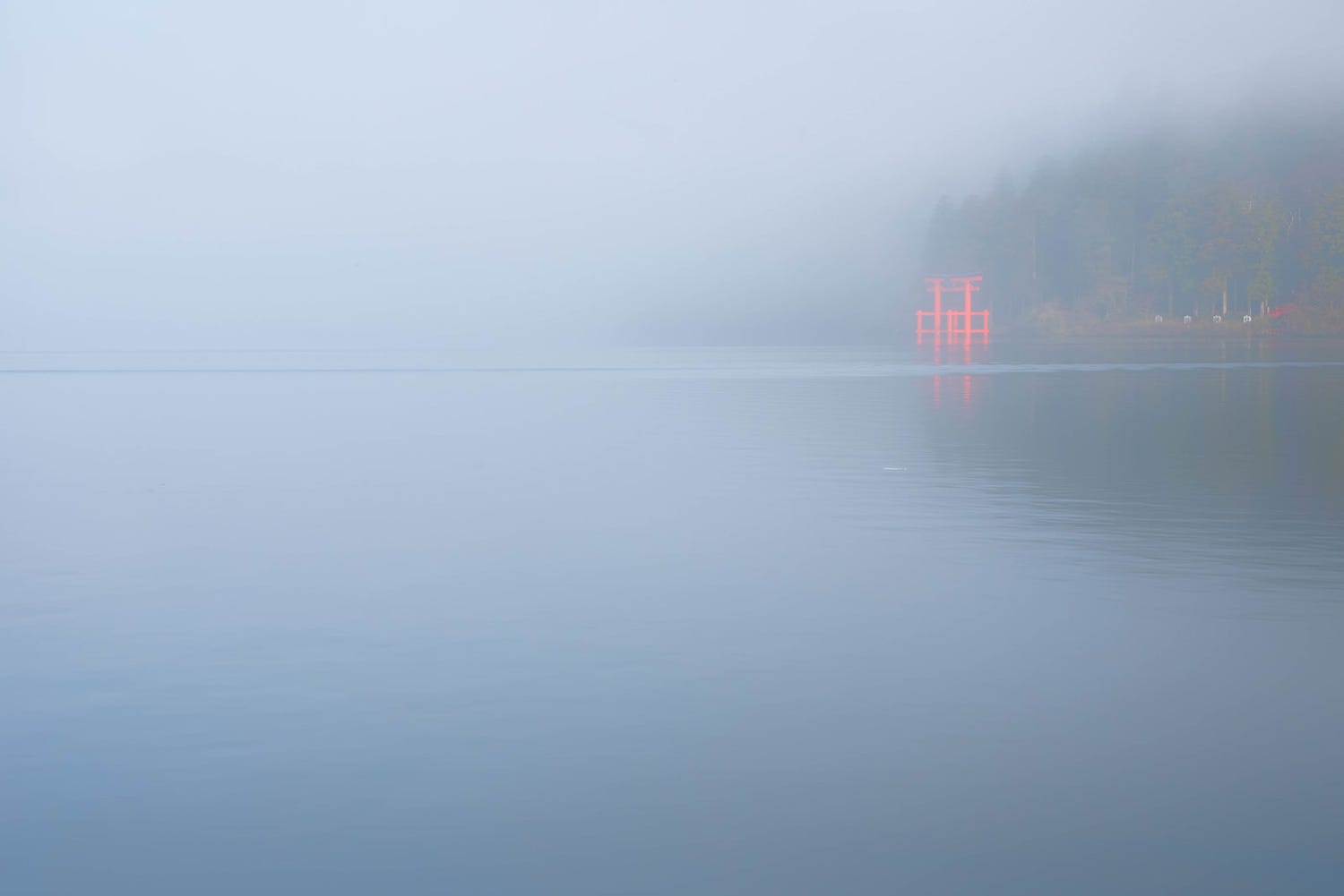2024年の干支!初詣にもおすすめの龍にまつわる神社4選