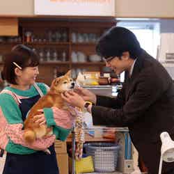 伊藤沙莉、中島健人「シッコウ！！～犬と私と執行官～」第6話より（C）テレビ朝日
