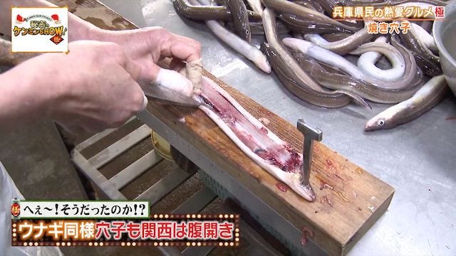 【ご当地グルメ】ケンミンショーで判明！