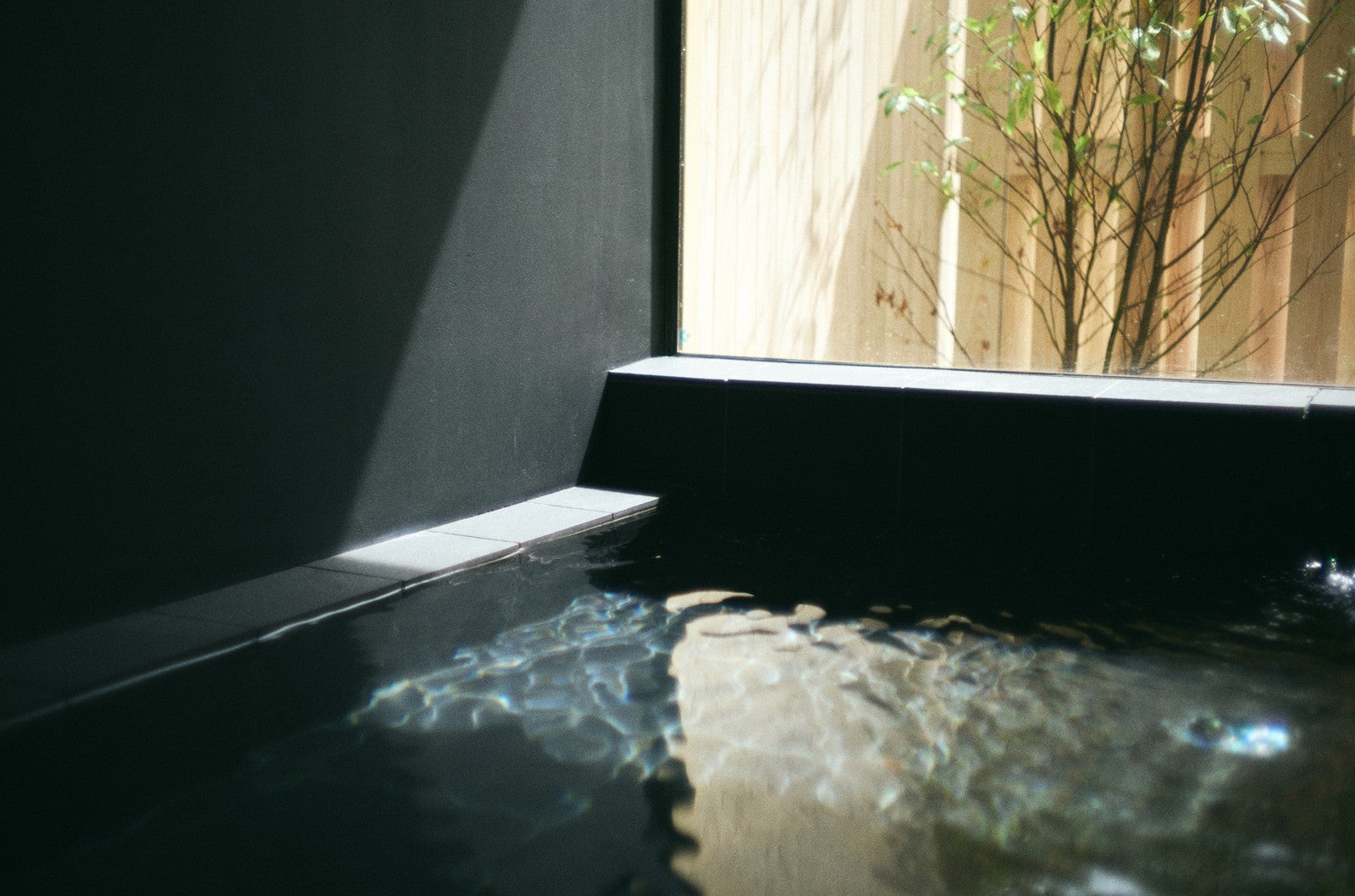 ジオスポット 元箱根（提供写真）