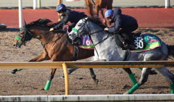 【デイリー杯クイーンC】ギャラボーグ スムーズに加速 杉山晴師が期待「どういう競馬をしてくれるか」