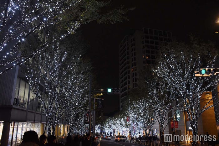 六本木ヒルズのイルミネーション (C)モデルプレス