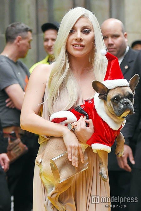 コージの帽子がきちんと立っているという芸の細かさ。BuzzFoto.com/Zeta Image