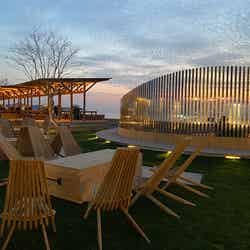 Frogs FARM PICNIC GARDEN/画像提供:バルニバービ