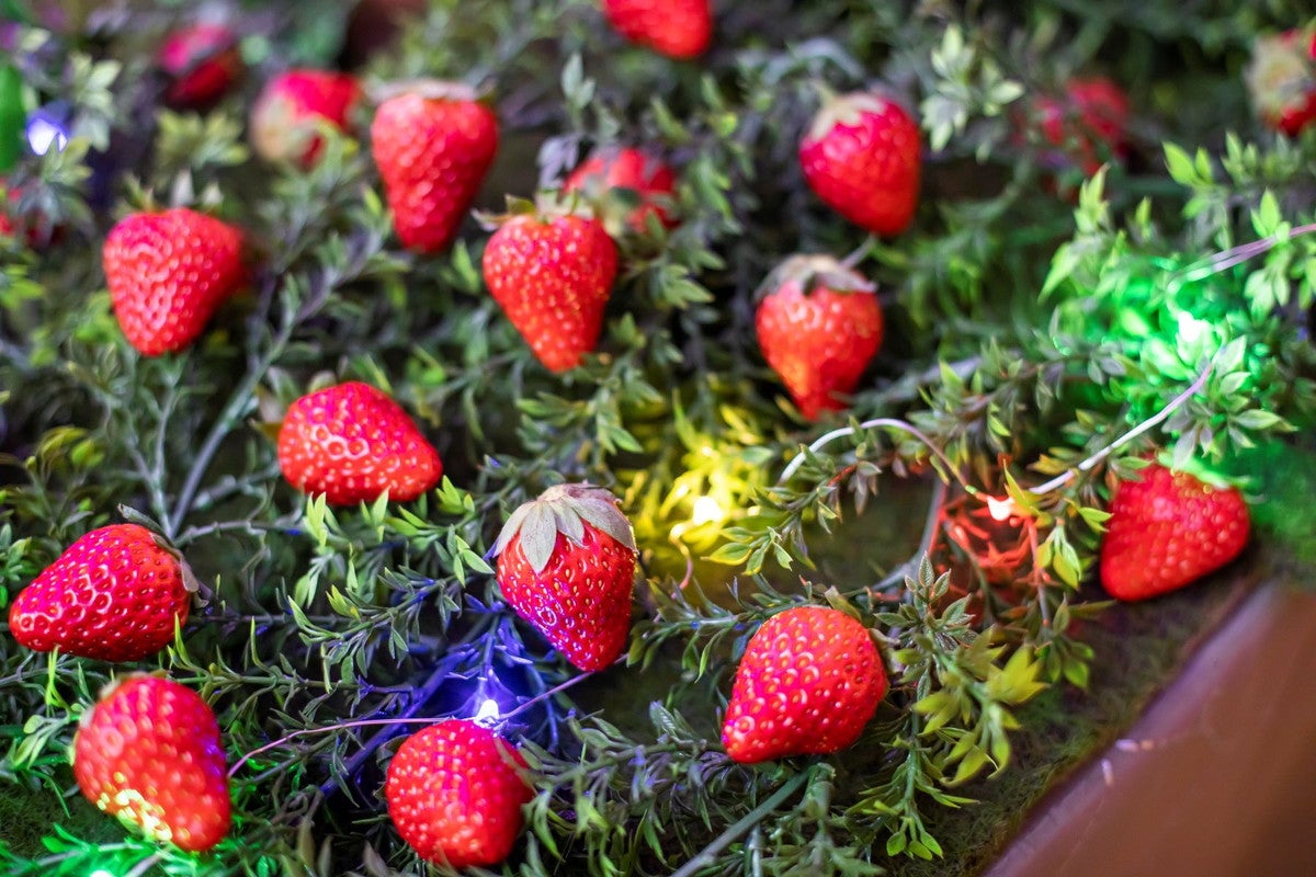 魅惑のストロベリーナイト／画像提供：ベストブライダル