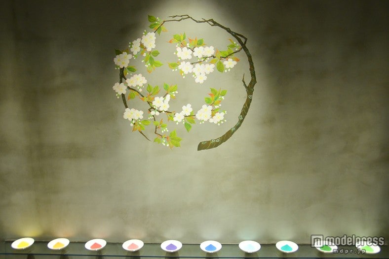 色粉が店先を彩る「京 カフェコムサ」