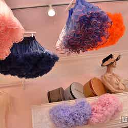 絶妙な色合いのチュチュ