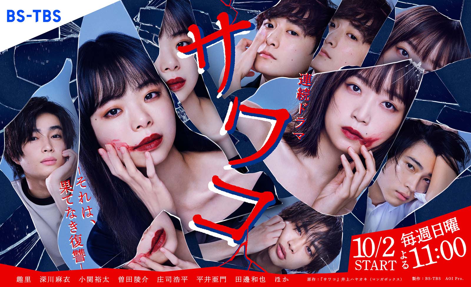 「サワコ～それは、果てなき復讐」ビジュアル（C）BS-TBS