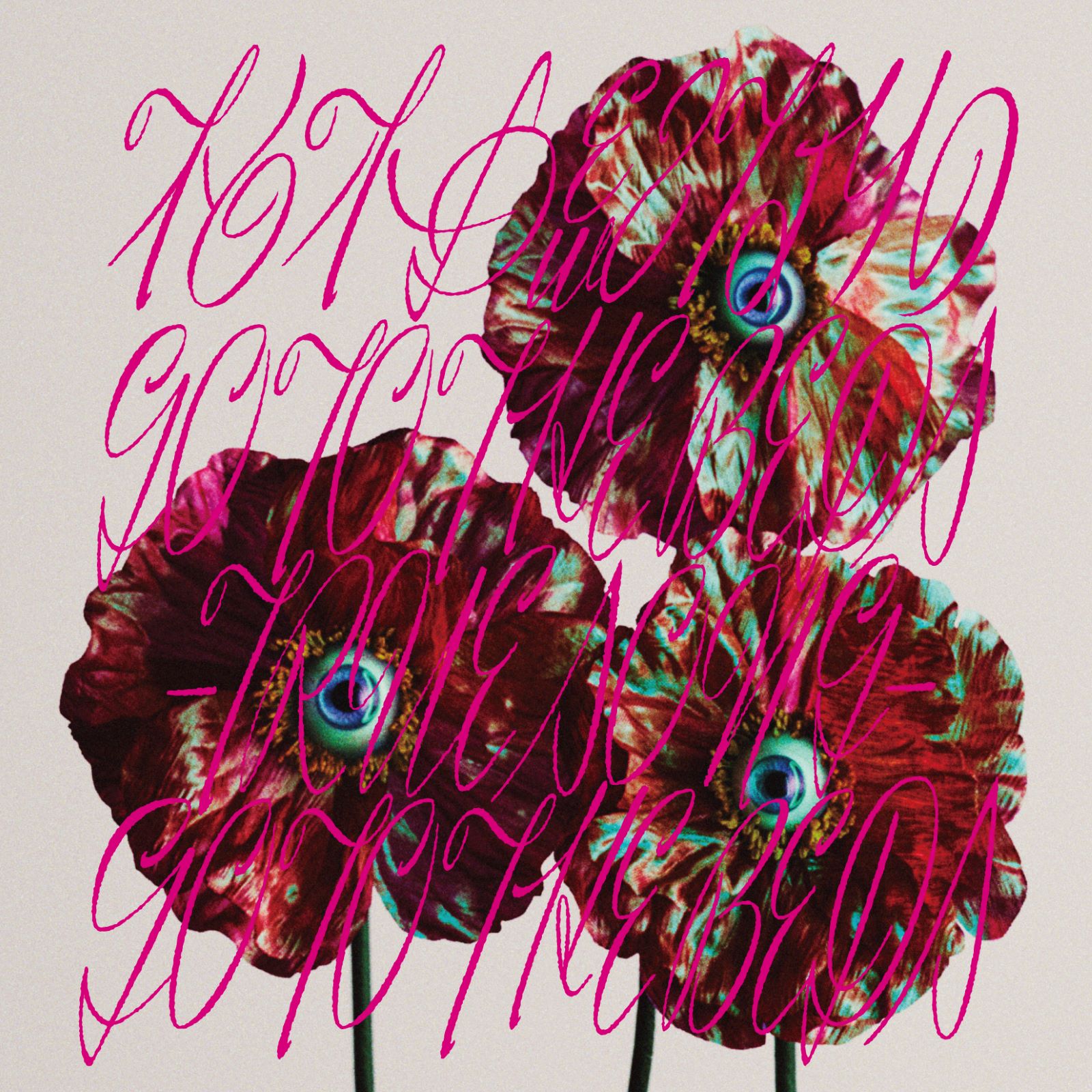 GO TO THE BEDS「柏木由紀なりのGO TO THE BEDS -TRUE SONG-」ジャケット写真 （提供写真）