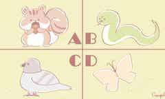 心理テスト 横切る生き物でわかる 恋をするとどんなタイプの女性になる モデルプレス