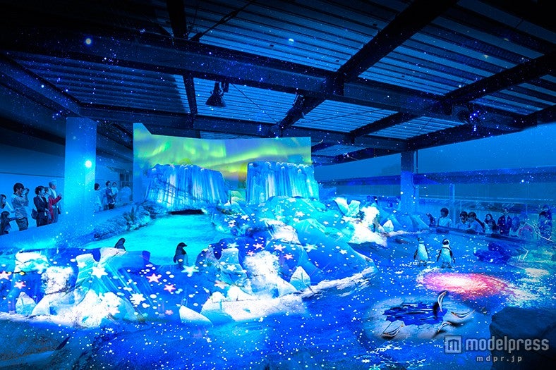 「ペンギンゾーン」の3Dプロジェクションマッピング