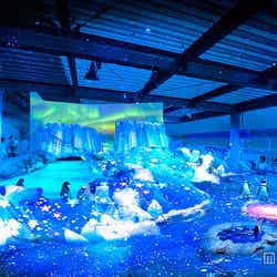 「ペンギンゾーン」の3Dプロジェクションマッピング