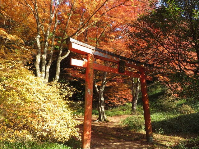 鳥見山公園