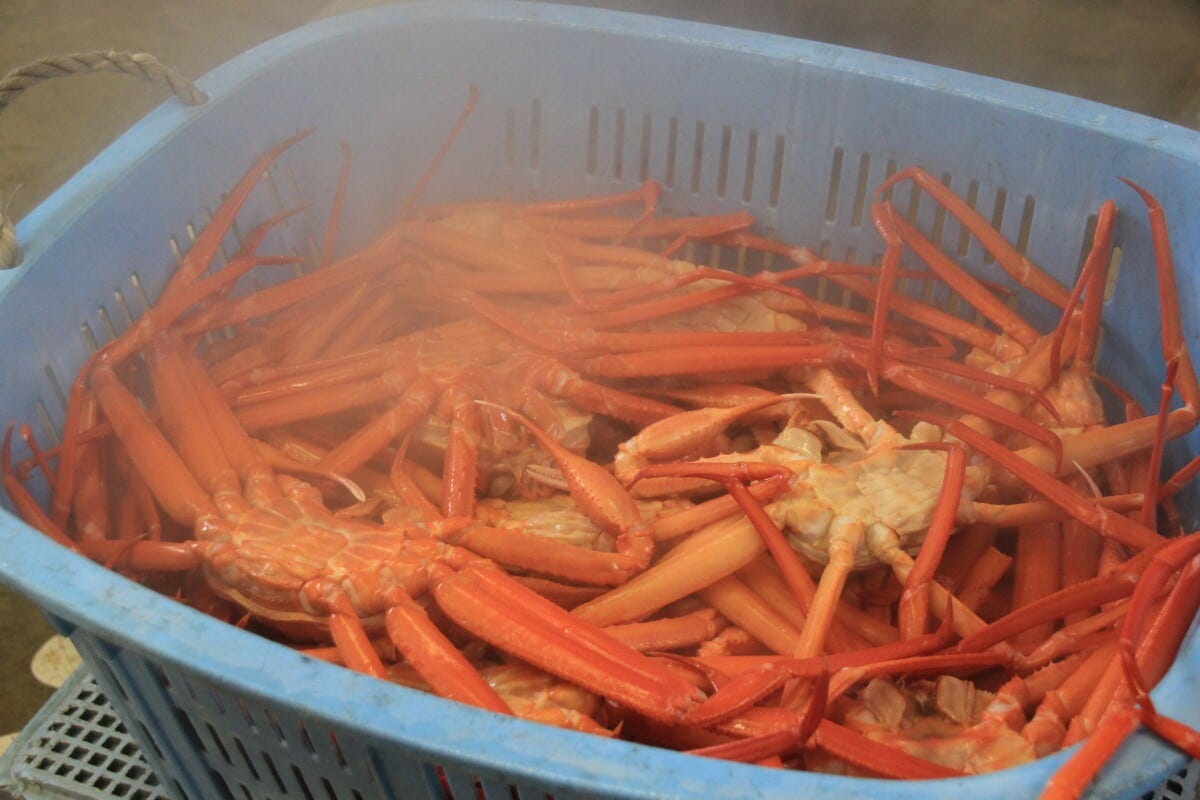 捕れたて茹でたてをぜひ。60分食べ放題プラン(6900円)も(富山県射水市)