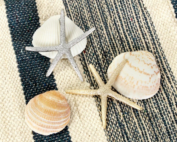 マーメイドスターフィッシュバレッタ「salus」990円（税込）