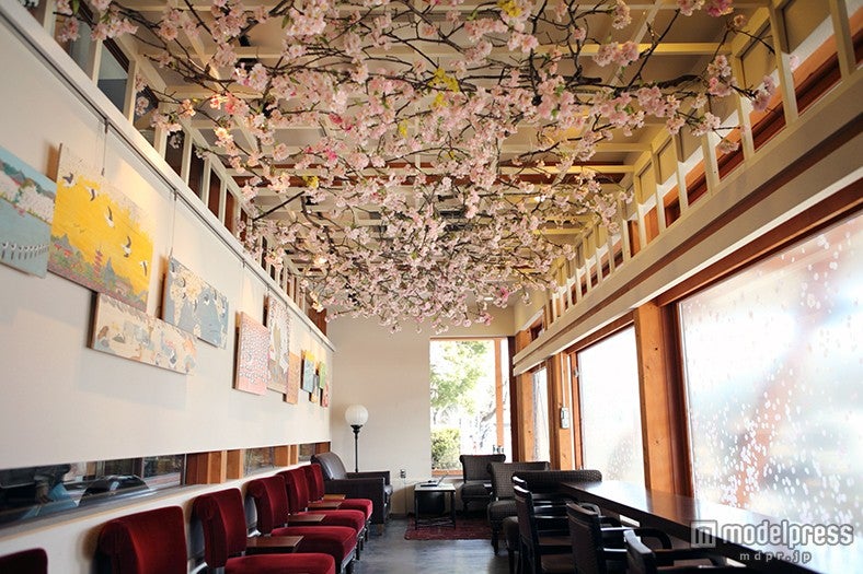 上野の「スターバックス恩賜公園店」