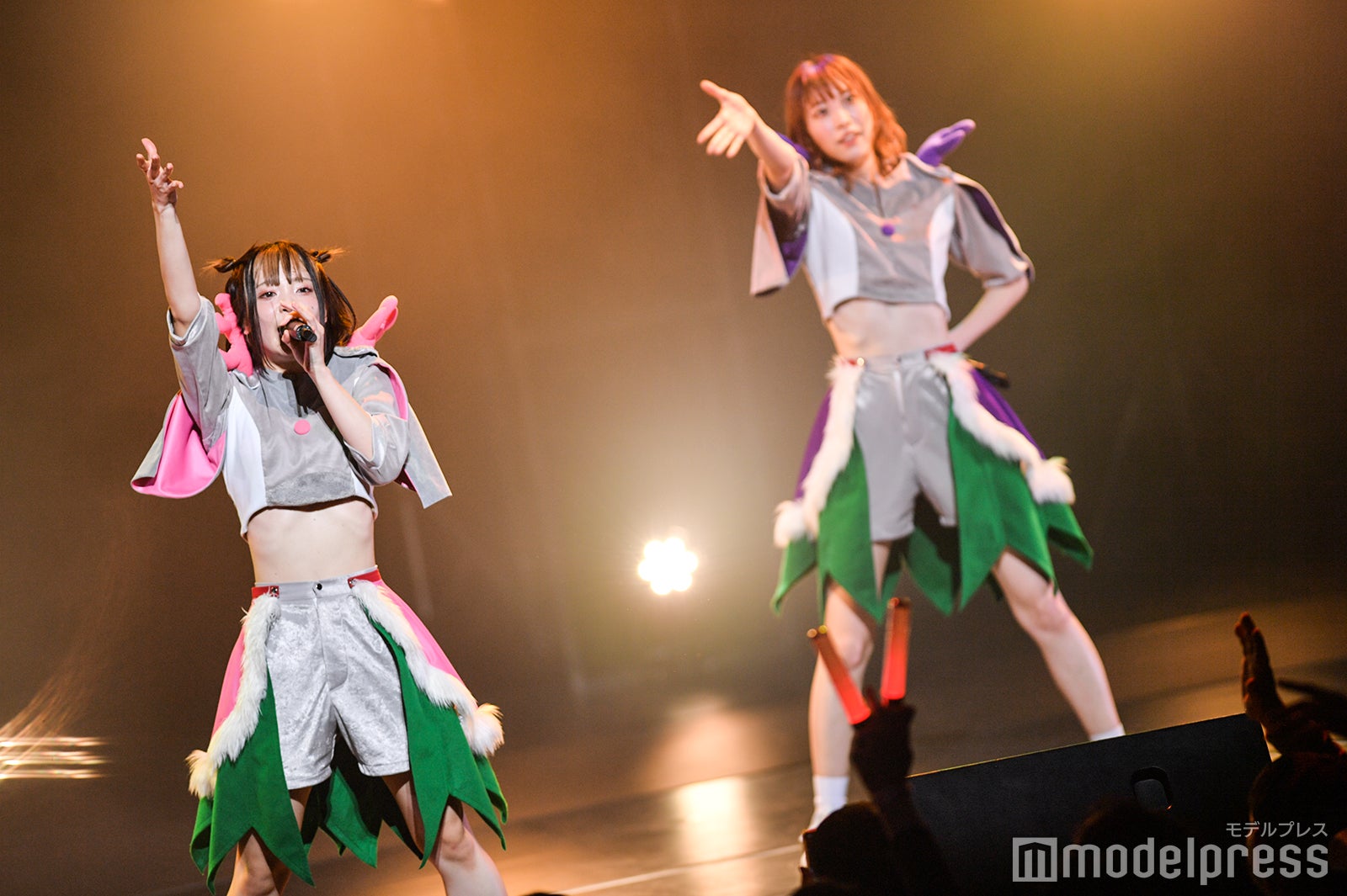 豆柴の大群（C）モデルプレス