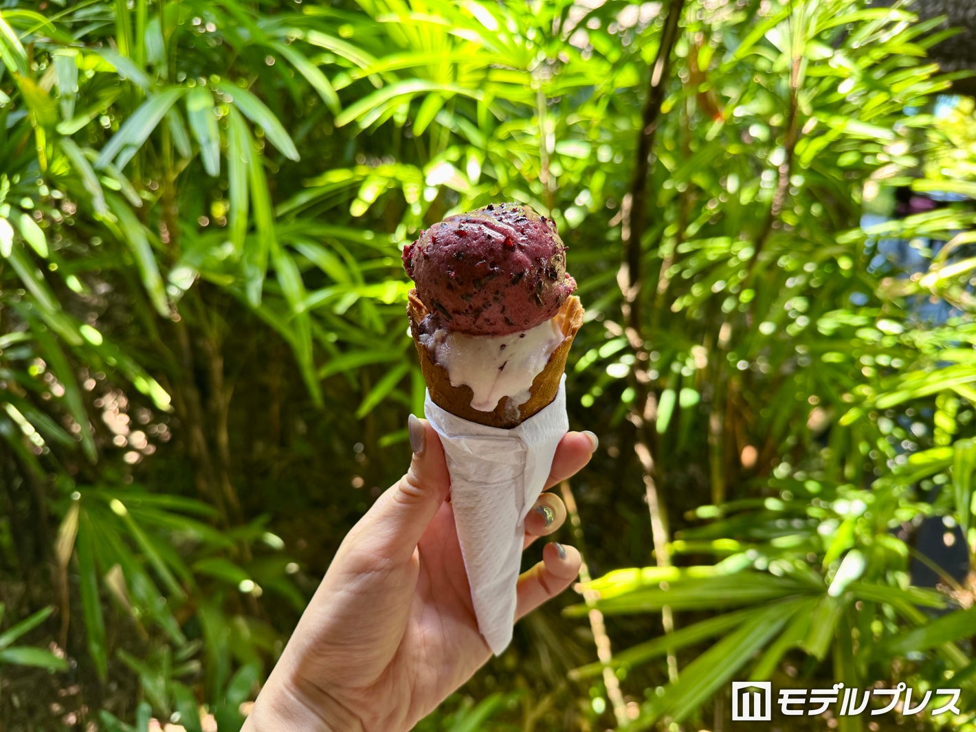 自家製アイスクリームを無料で提供（C）モデルプレス