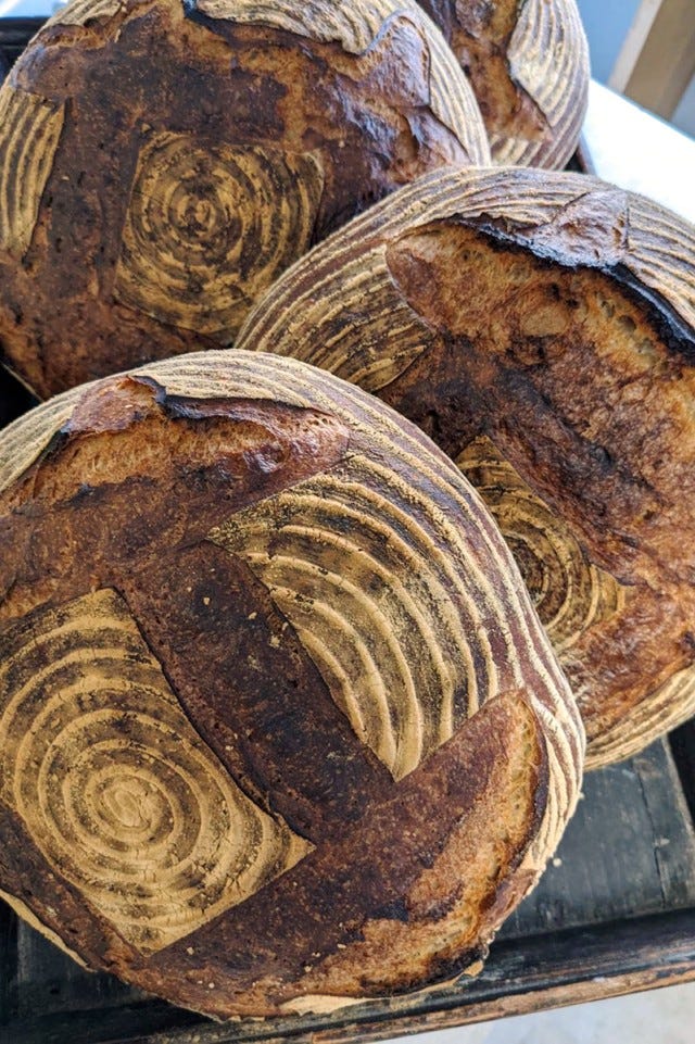 【京都】関西初出店も！