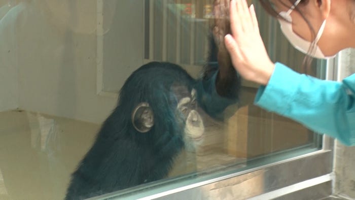 河田陽菜(C)テレビ朝日