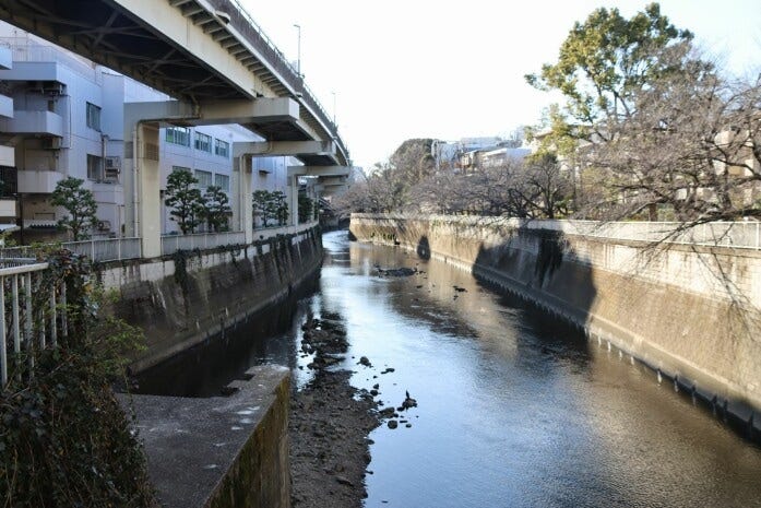江戸川橋から眺めた神田川