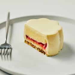 【生フロルケーキ】(ホワイト)/提供画像