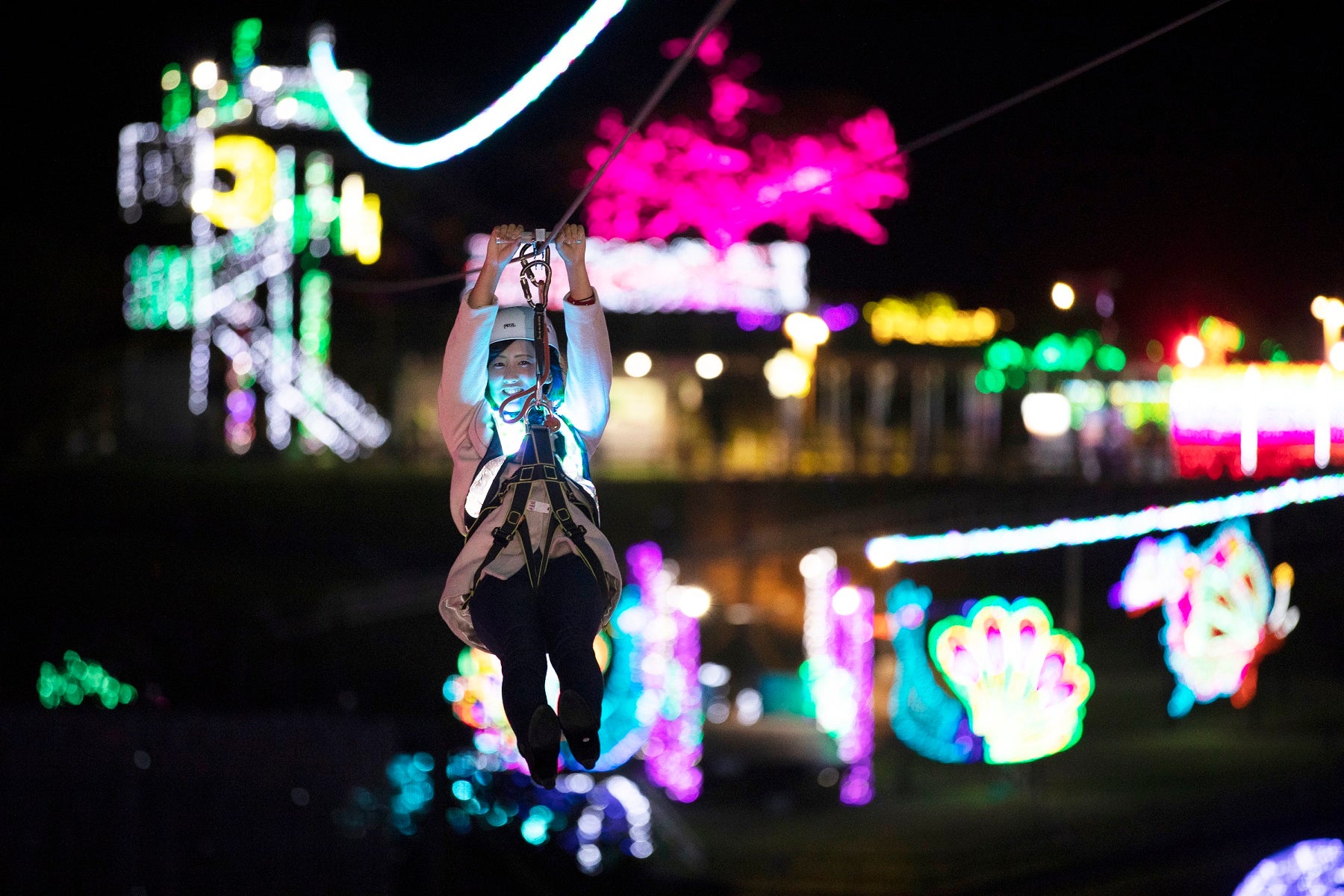 伊豆高原グランイルミ／画像提供：伊豆シャボテン公園