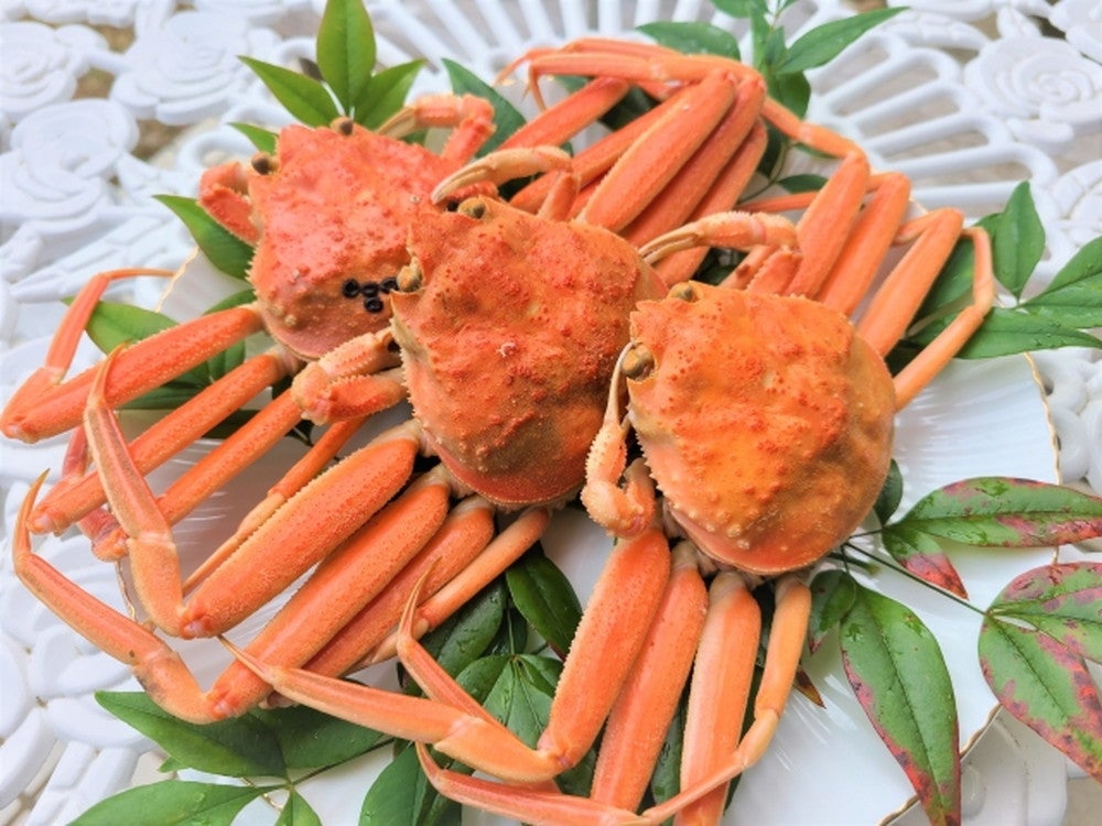 北海道グランプリ in 新宿西口／画像提供：ビー・エフ・シー