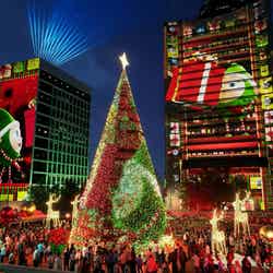 香港ウィンター・フェスタ(提供写真)