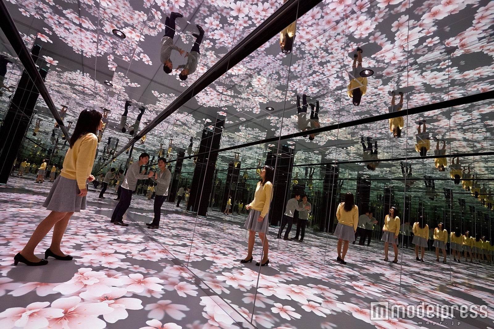 無限スケープ 桜／画像提供：サンシャインシティ