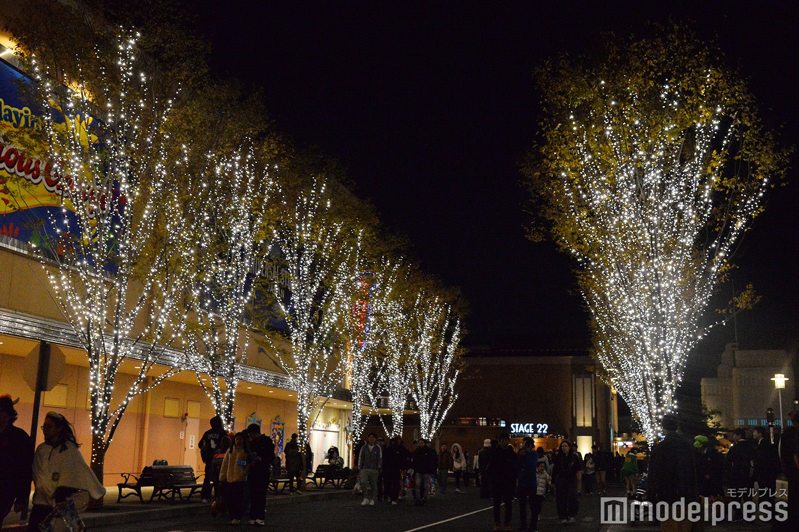 グリーン・ストリート・イルミネーション（C）モデルプレス