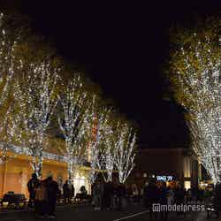 グリーン・ストリート・イルミネーション(C)モデルプレス