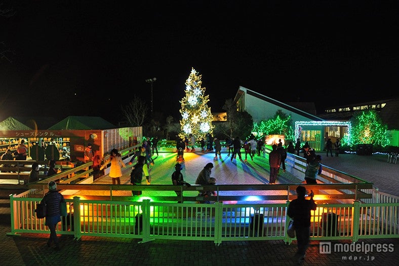 スケートリンク／画像提供：マザー牧場