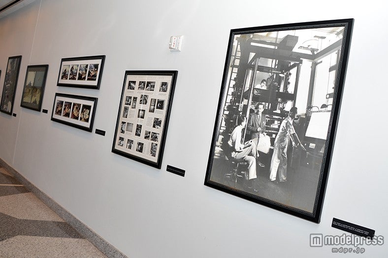 「FGW Multiplane Camera Photo」