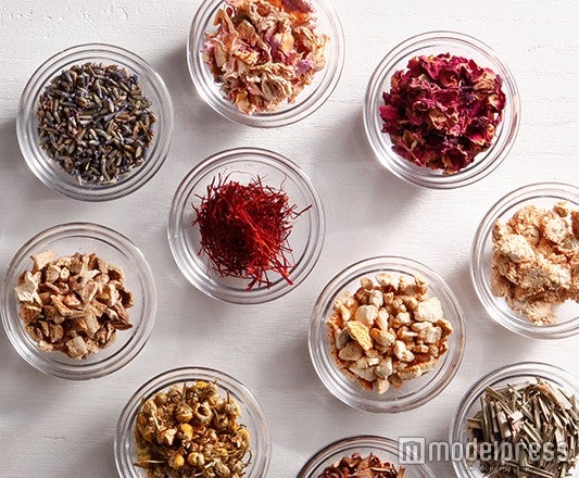 EGF（ヒトオリゴペプチド－1）、フラーレンのほかにも美容成分がぎっしり