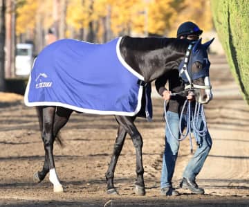 中東情勢の影響でドバイWCデー回避 マスカレードボールは大阪杯へ ジャンタルマンタルは香港のチャンピオンズマイル予備登録