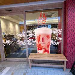 「ゴンチャ 渋谷スペイン坂店」/提供画像