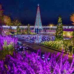 光の花の庭~Flower Fantasy(提供写真)