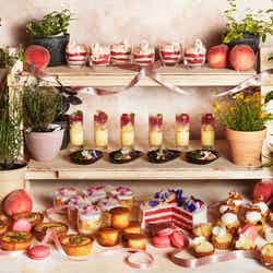 ピーチスイーツブッフェイメージ/画像提供:インターコンチネンタルホテル大阪