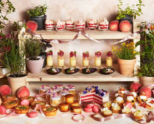 旬の桃を味わうピーチスイーツブッフェ「BOTANICAL PEACH SUMMER」大阪で開催