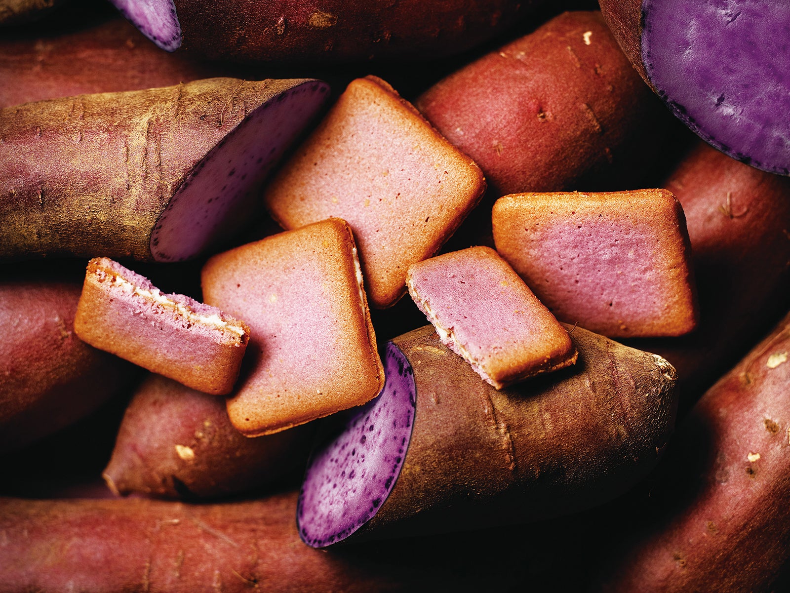 サブレルチーズ‐紅芋￥1000（税抜）／画像提供：PABLO