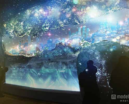 幻想的な氷の世界で大人デート 冬の水族館の新たな楽しみ方