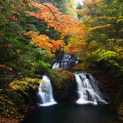 赤目四十八滝・荷担滝の紅葉/提供画像