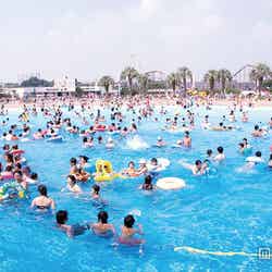 5つのプール※昨年までの様子/画像提供:よみうりランド